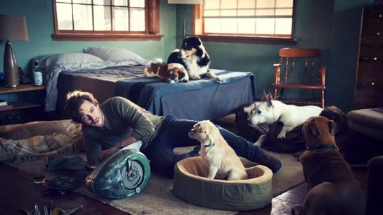 Will Graham finds comfort in canine companionship